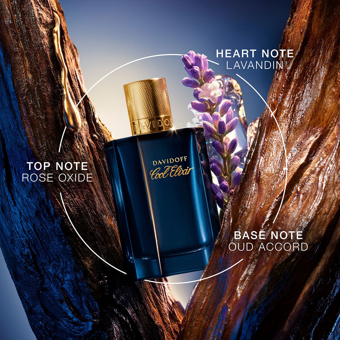 Cool Elixir Parfum Intense 100 ML_COO99350214132_Davidoff-4