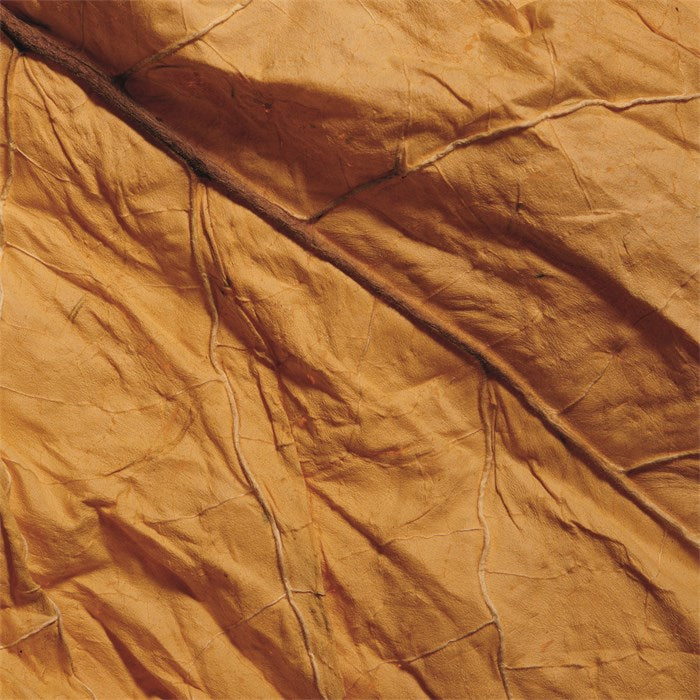 Copper Eau De Parfum 100 ML_COM65133821_Comme Des Garcons-3