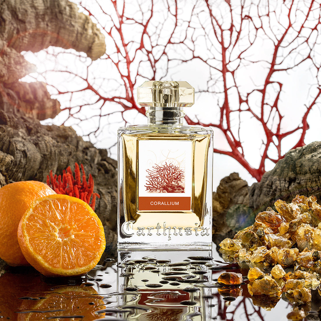 Corallium Eau De Parfum 100 ML_CAR62982_Carthusia-3