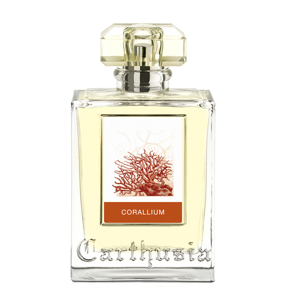Corallium Eau De Parfum 100 ML_CAR62982_Carthusia