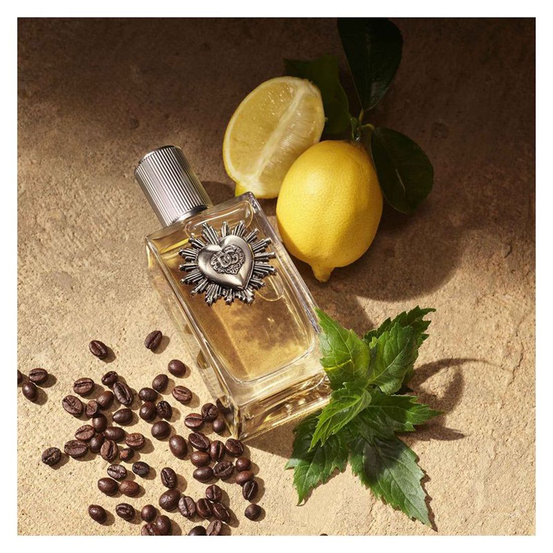 Devotion Pour Homme Eau De Parfum 100 ML_DOLP1DV1L02_Dolce&Gabbana-3