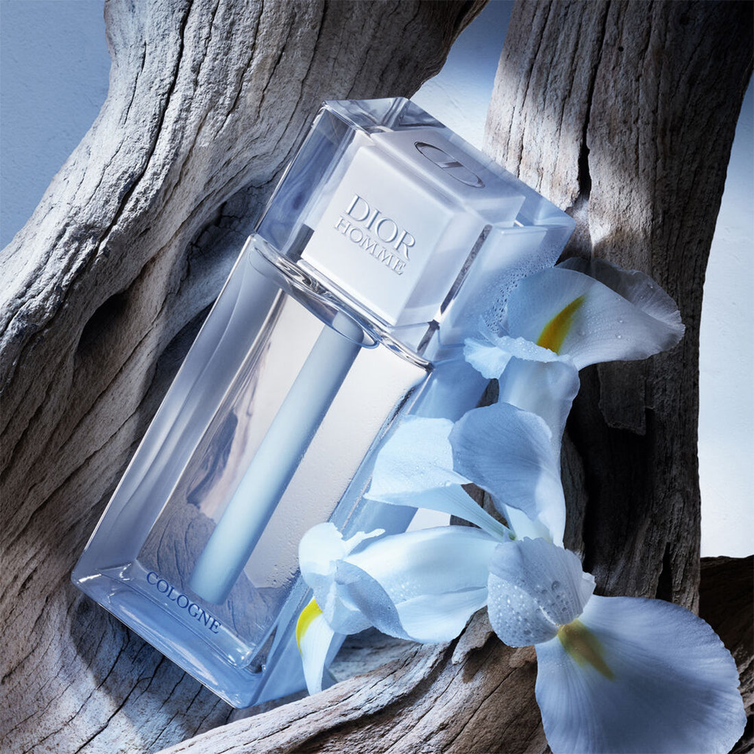 Dior Homme Cologne Eau de cologne – note fresche e muschiate 200 ML_CD 099700097_Dior-3