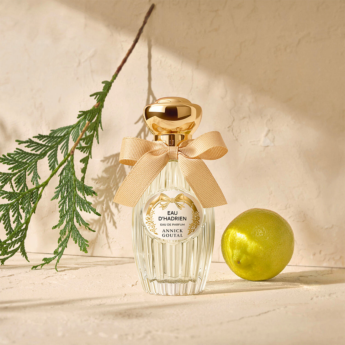Eau D'hadrein Eau De Parfum_JAG001A101_ANNICK GOUTAL-3