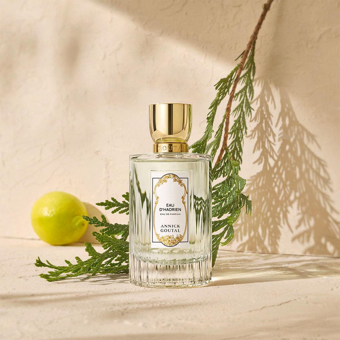 Eau D'hadrein (men) Eau De Parfum_JAG002A101_ANNICK GOUTAL-3