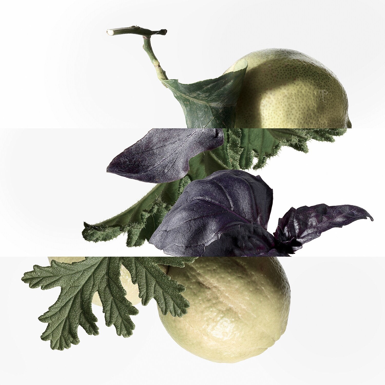 Eau De Basilic Pourpre Eau De Cologne 100 ML_HER65181290_Hermes-3