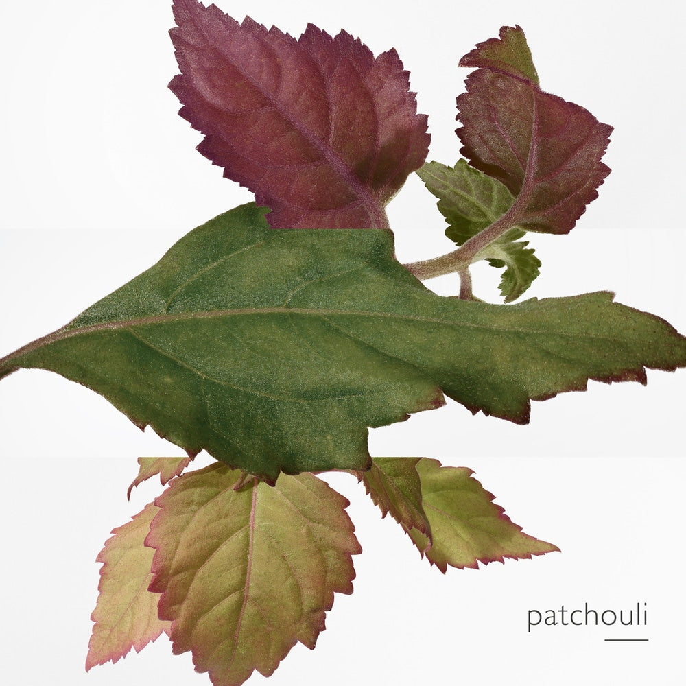 Elixir Des Merveilles Eau De Parfum 100 ML_HER21150_Hermes-6