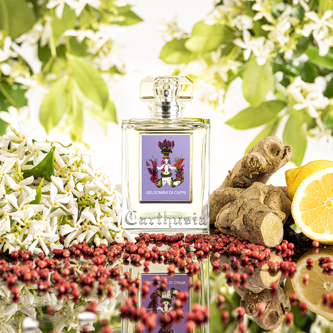 Gelsomino Di Capri Eau De Parfum 100 ML_CAR63033_Carthusia-3