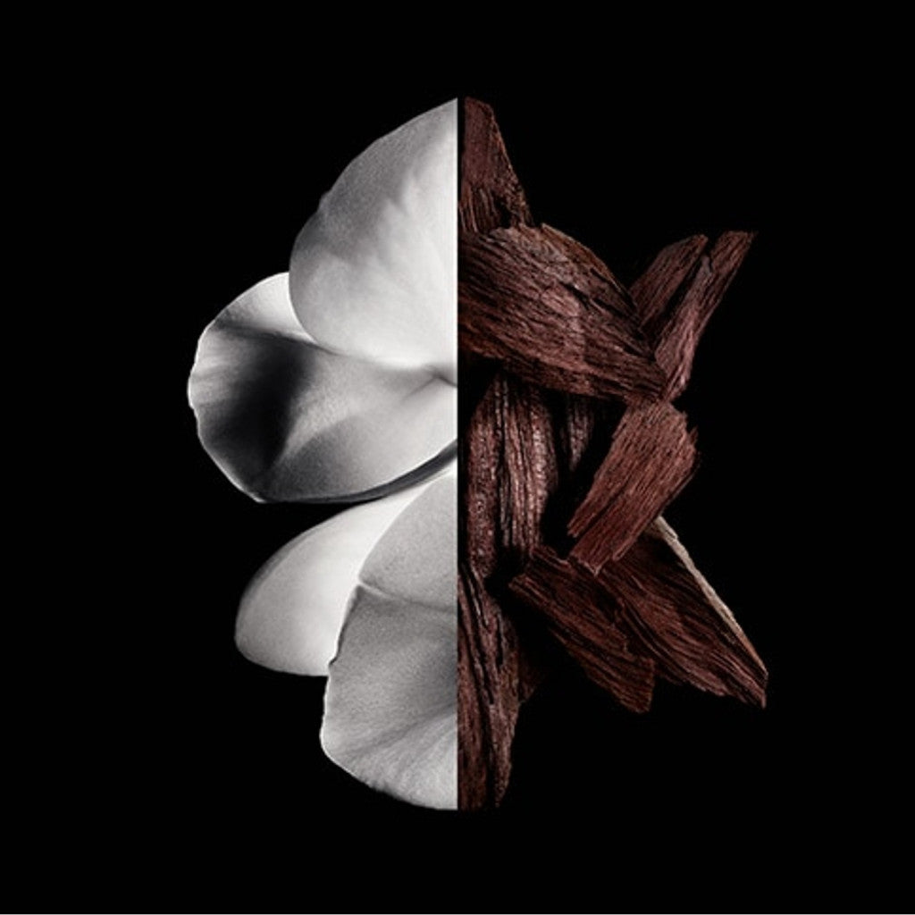 Gentleman Boisee Eau De Parfum  60 ML_GIV011119_Givenchy-3