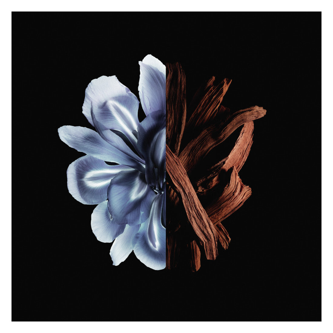 Gentleman Reserve Privee Eau De Parfum 60 ML_GIV011160_Givenchy-4