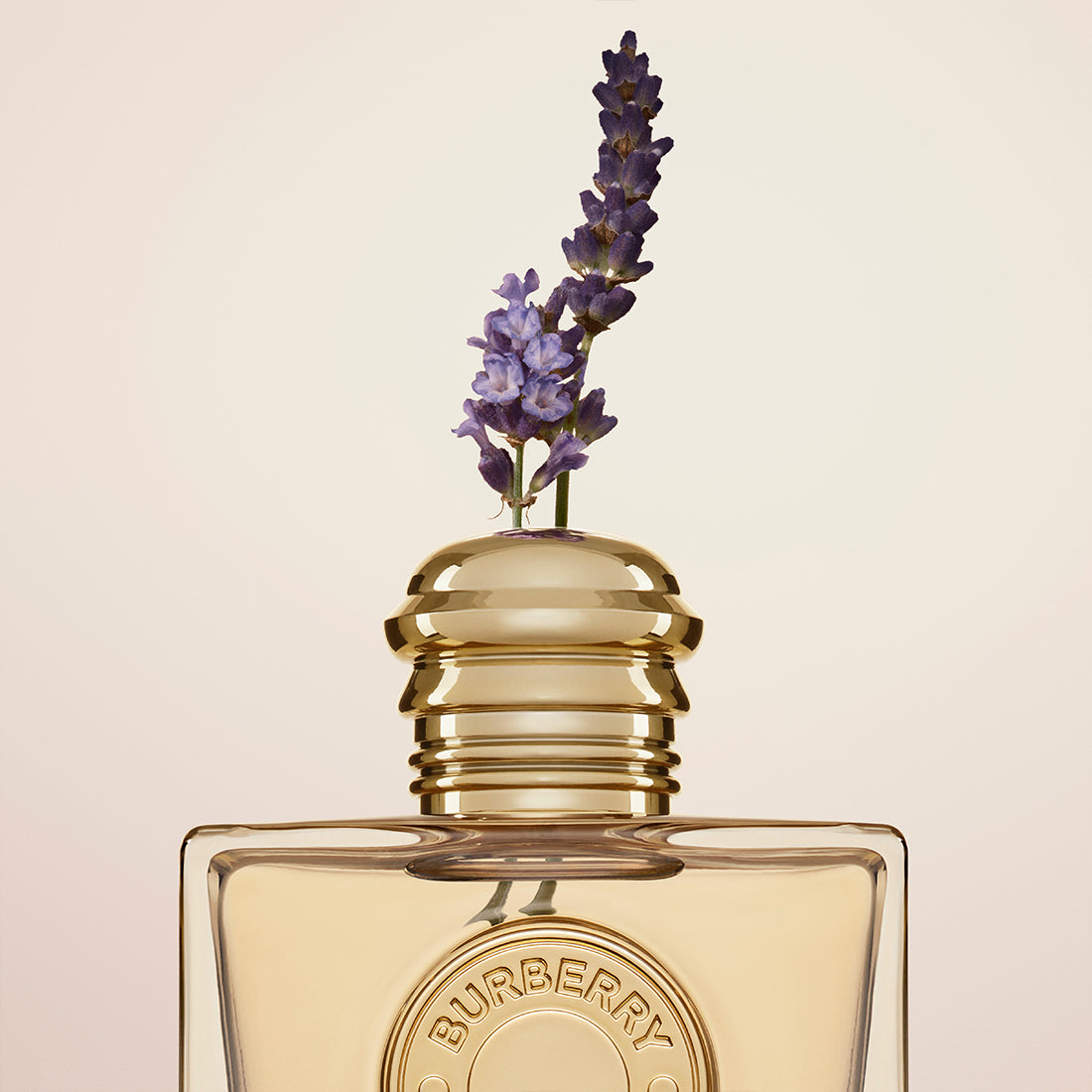 Goddess Eau De Parfum Ricarica 150 ML_BUR99350093274_Burberry-5