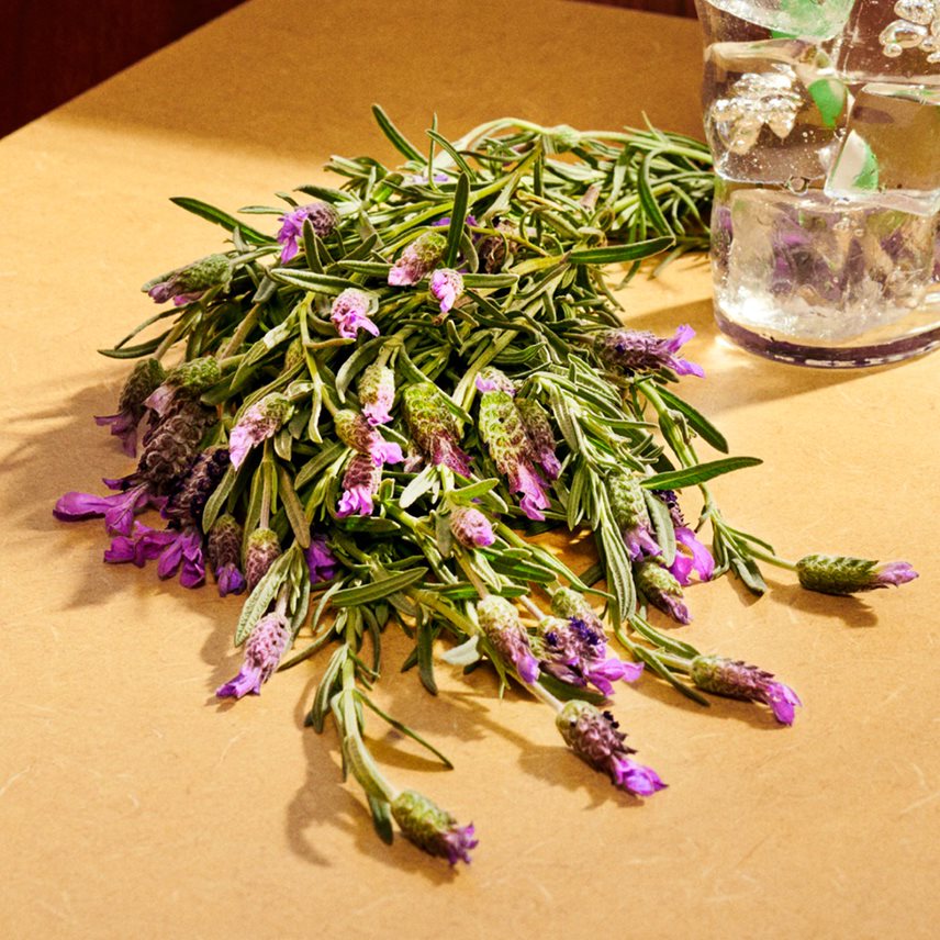 Guilty Parfum Pour Homme 50 ML_GUC99350103845_Gucci-4