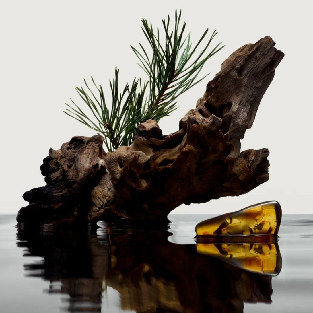 Hero Eau De Parfum 50 ML_BUR99350078787_Burberry-3