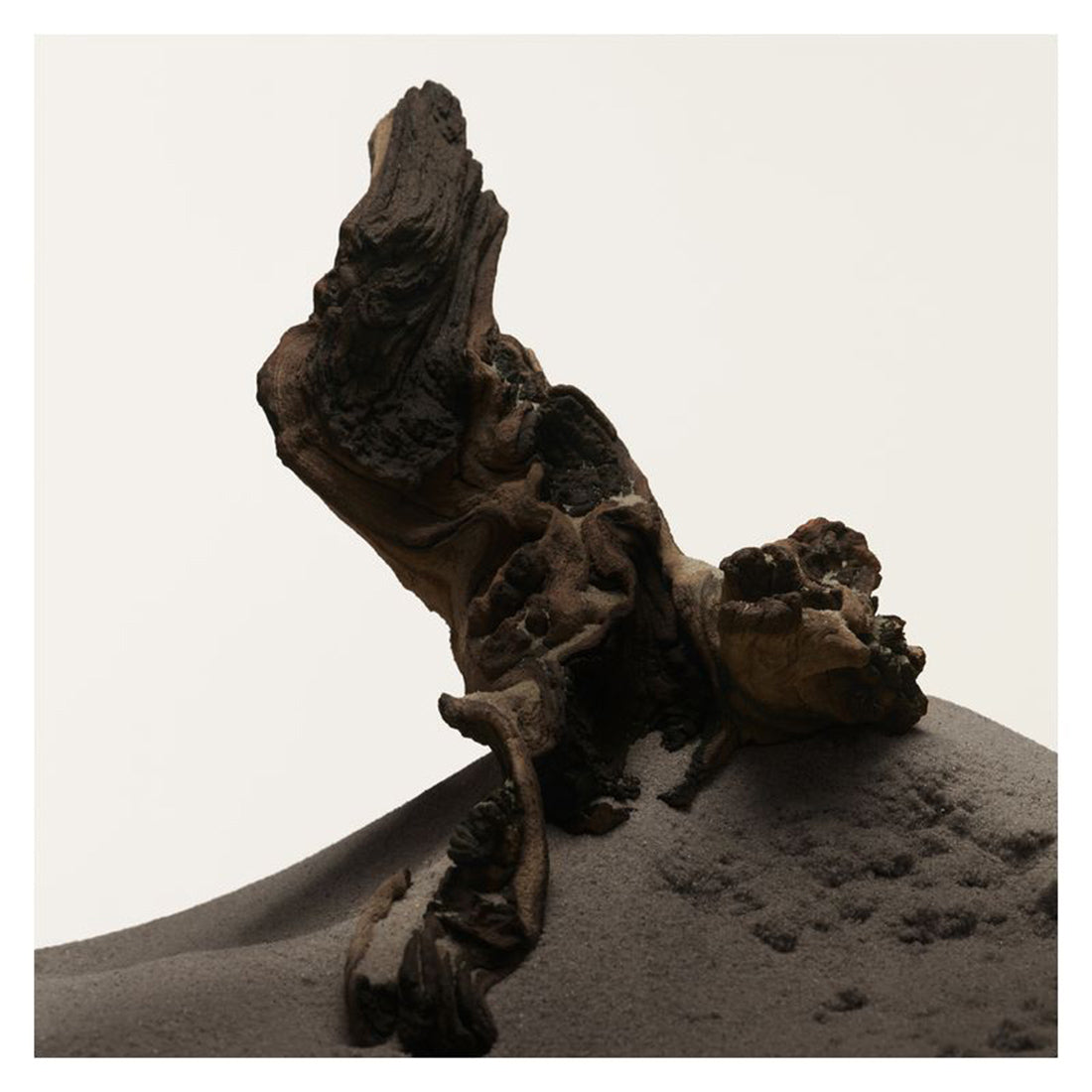 Hero Eau De Toilette 50 ML_BUR99350037946_Burberry-3