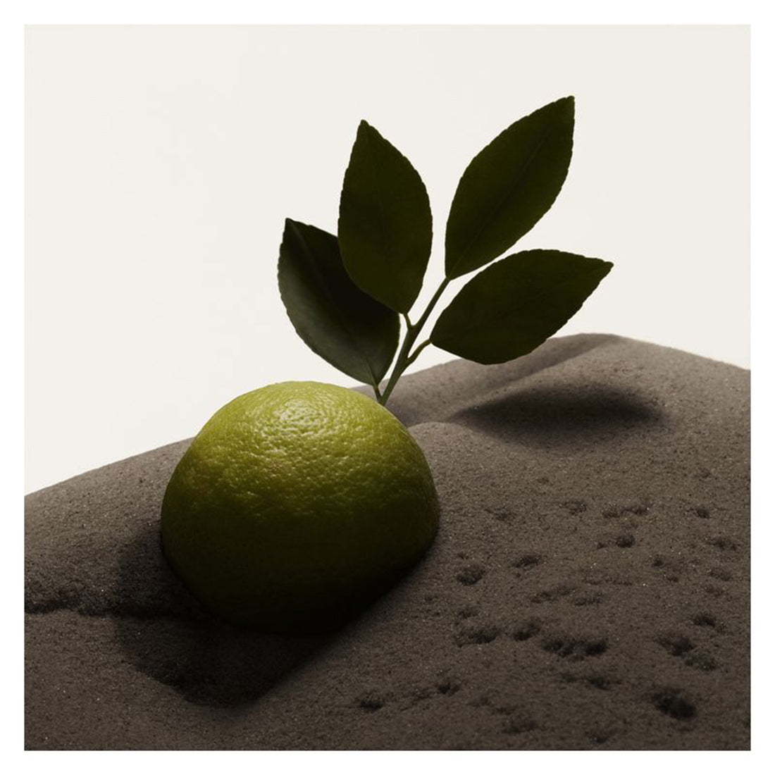 Hero Eau De Toilette 50 ML_BUR99350037946_Burberry-5