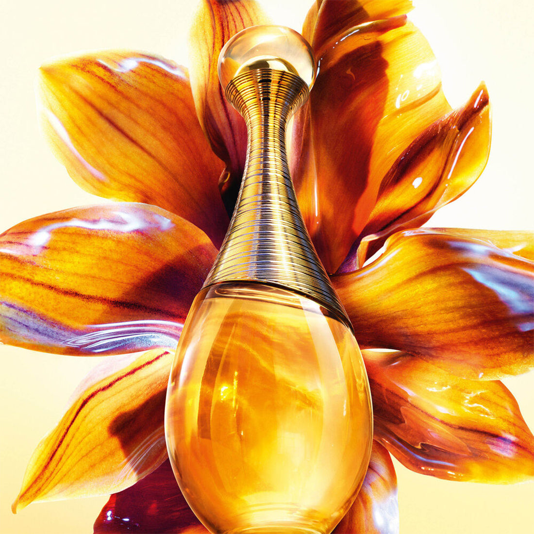Intense Parfum note floreali e mielate 50 ml_CD 000000712_Dior-5
