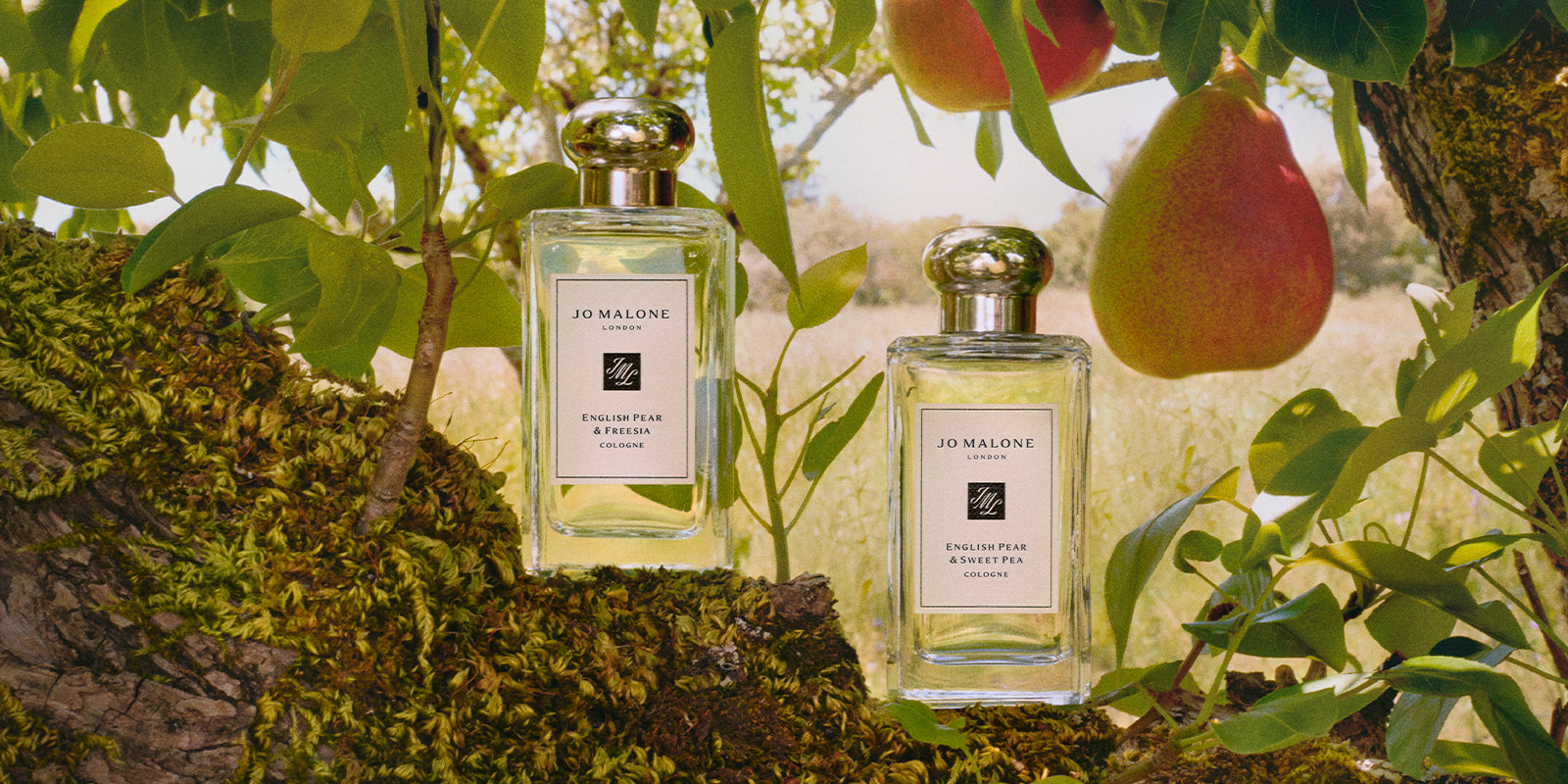 PROFUMERIE GRETA