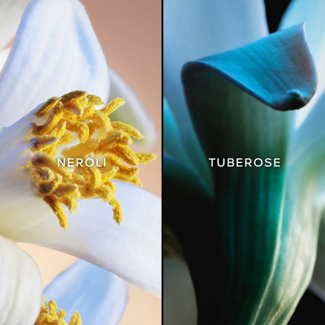 Jardins De Bagatelle Eau De Parfum 75 ML_GUE014309_Guerlain-4