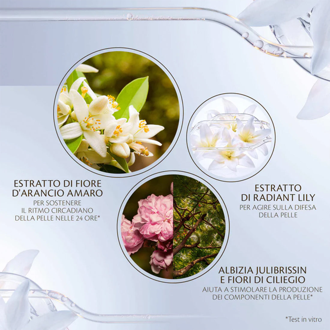 Key Radiance Care Advanced Intensive Night Cream Tratt.viso notte idratante_CDP10122663101_Clé de Peau Beauté-4