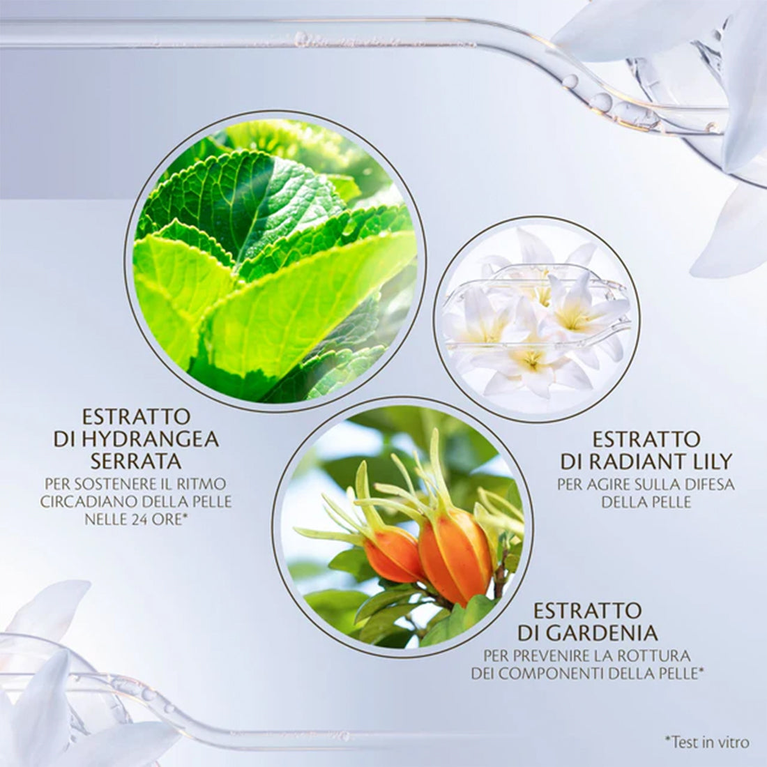 Key Radiance Care Advanced Protective Cream Crema viso giorno idratante_CDP10222658301_Clé de Peau Beauté-4