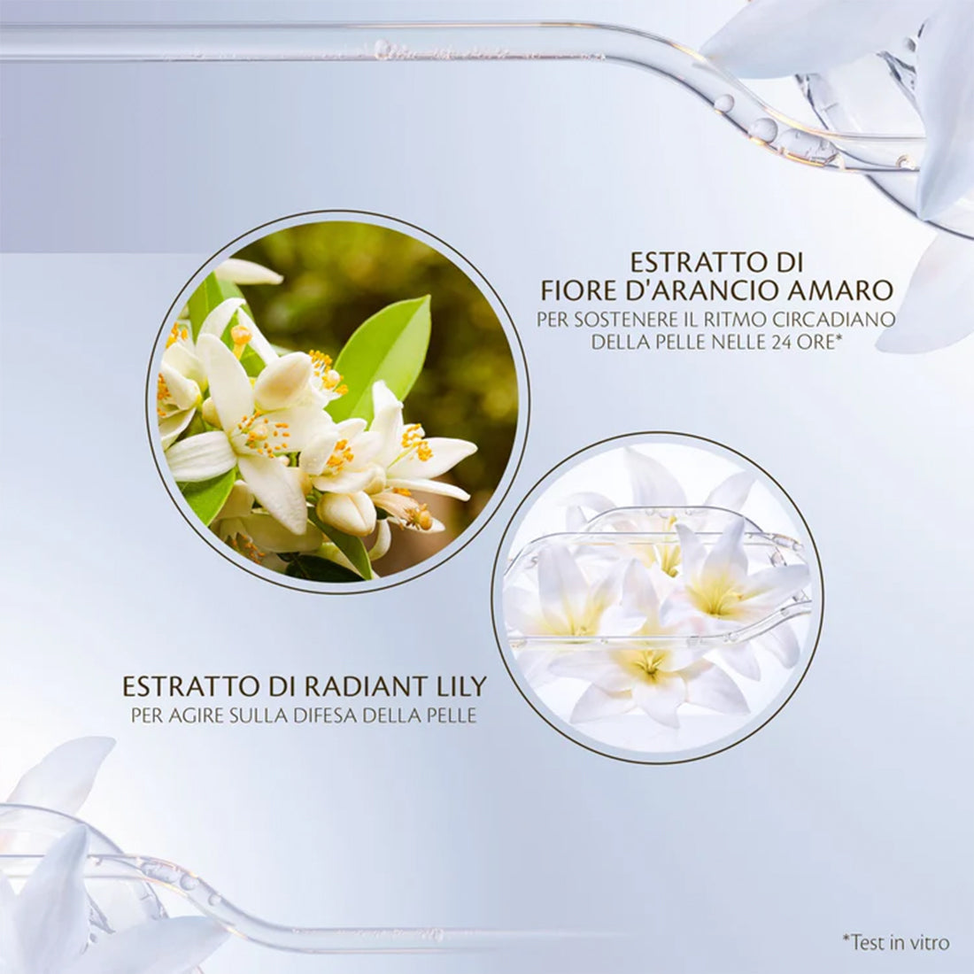 Key Radiance Care Intensive Night Emulsion_CDP10122656101_CLE' DE PEAU BEAUTE'-4