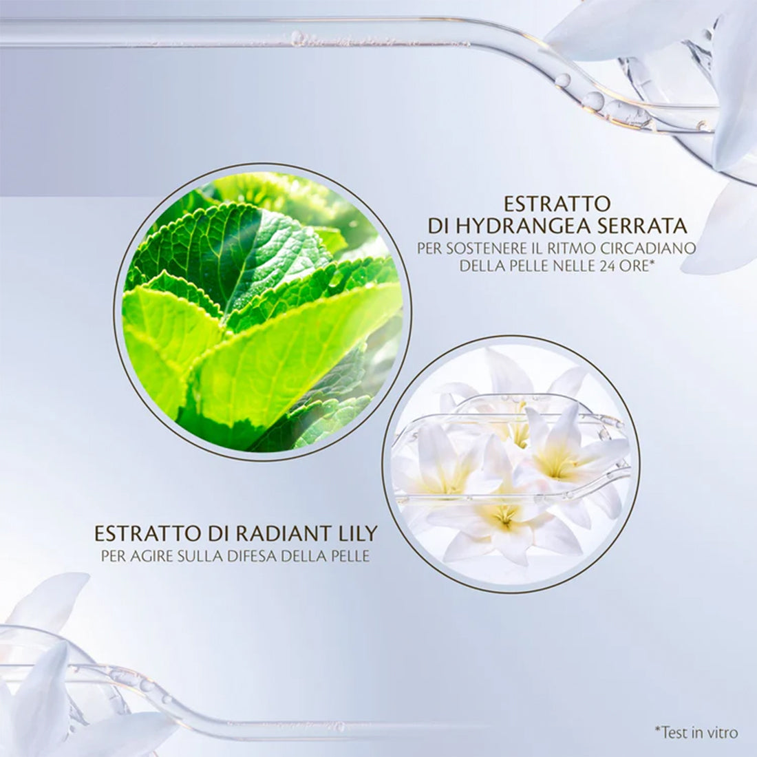 Key Radiance Care Protective Day Emulsion_CDP10122649301_CLE' DE PEAU BEAUTE'-4