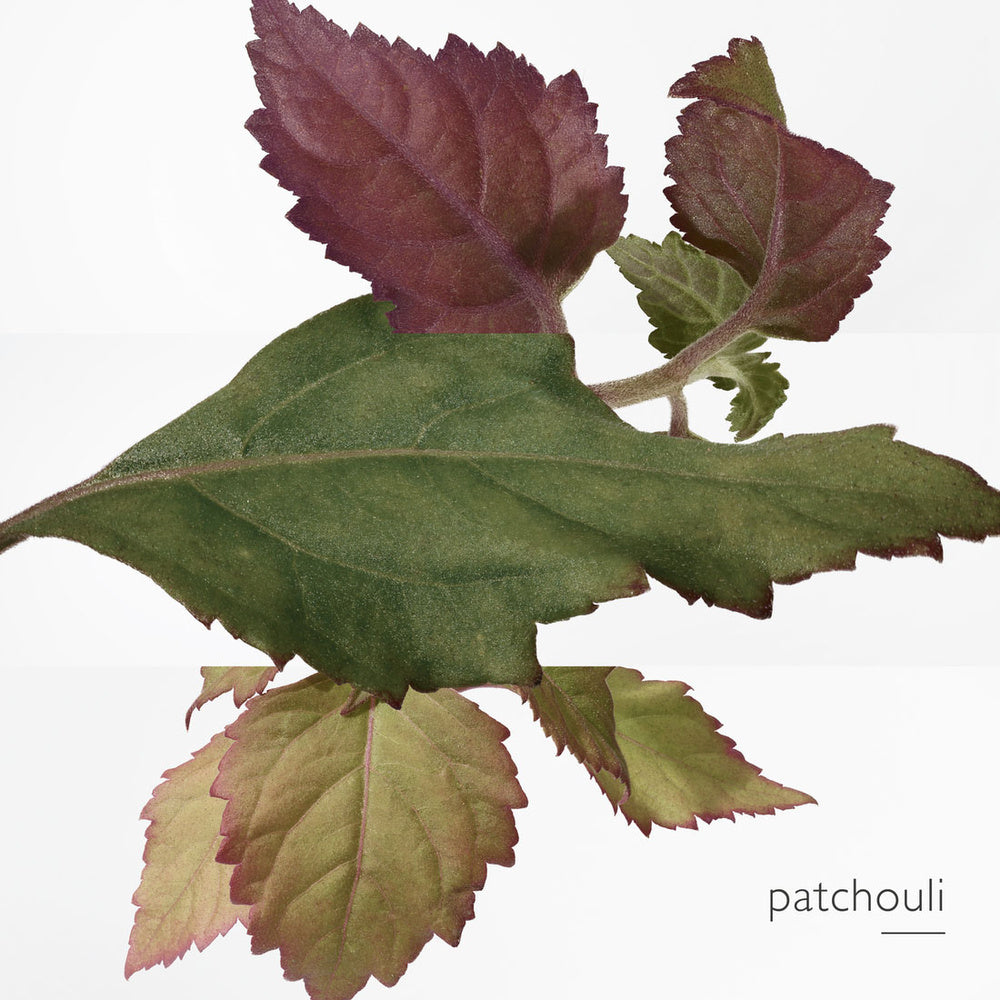 L'Ambre Des Merveilles Eau De Parfum 100 ML_HER29893_Hermes-5