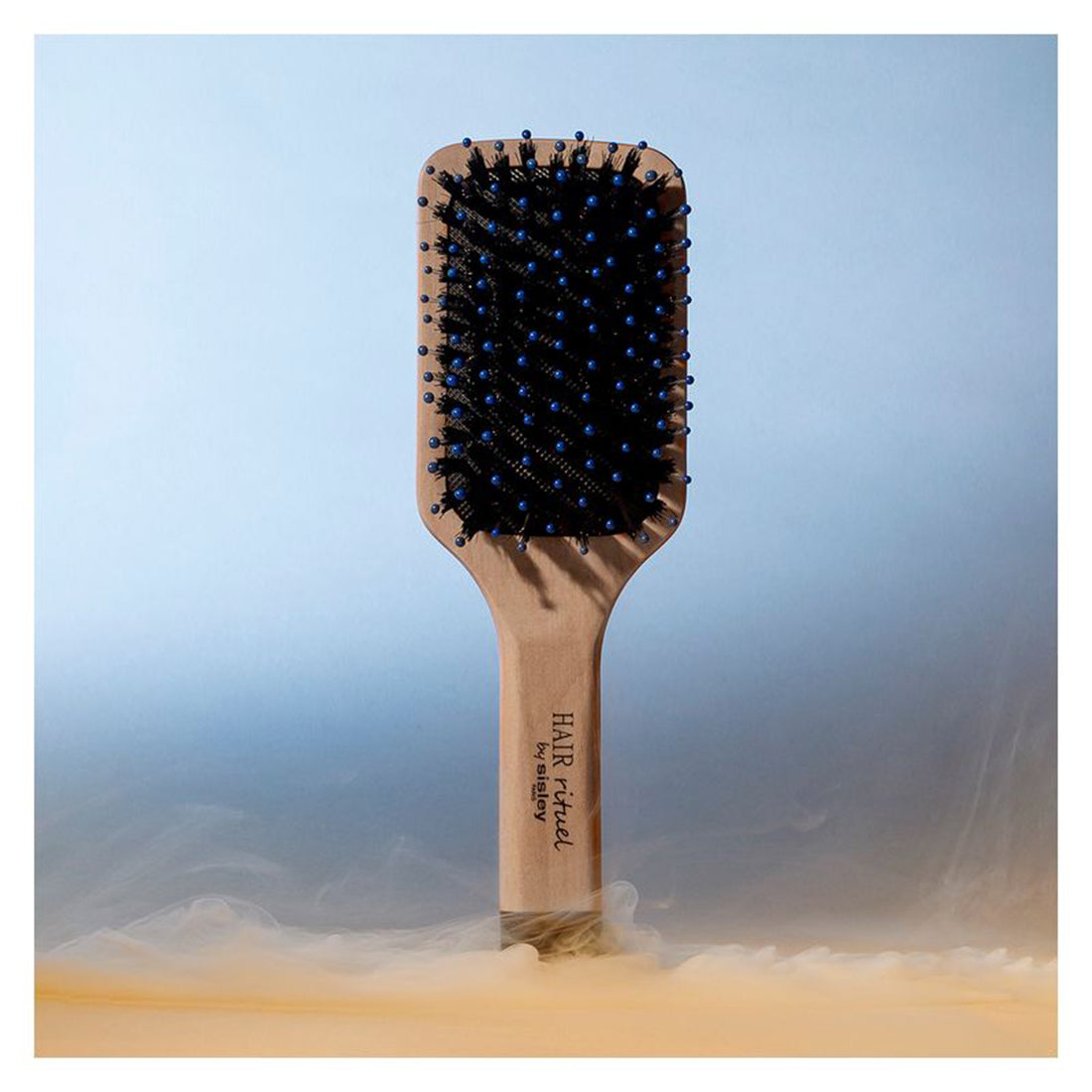 La Brosse De Poche Brillance et Doucer_SIS169040_Sisley-2