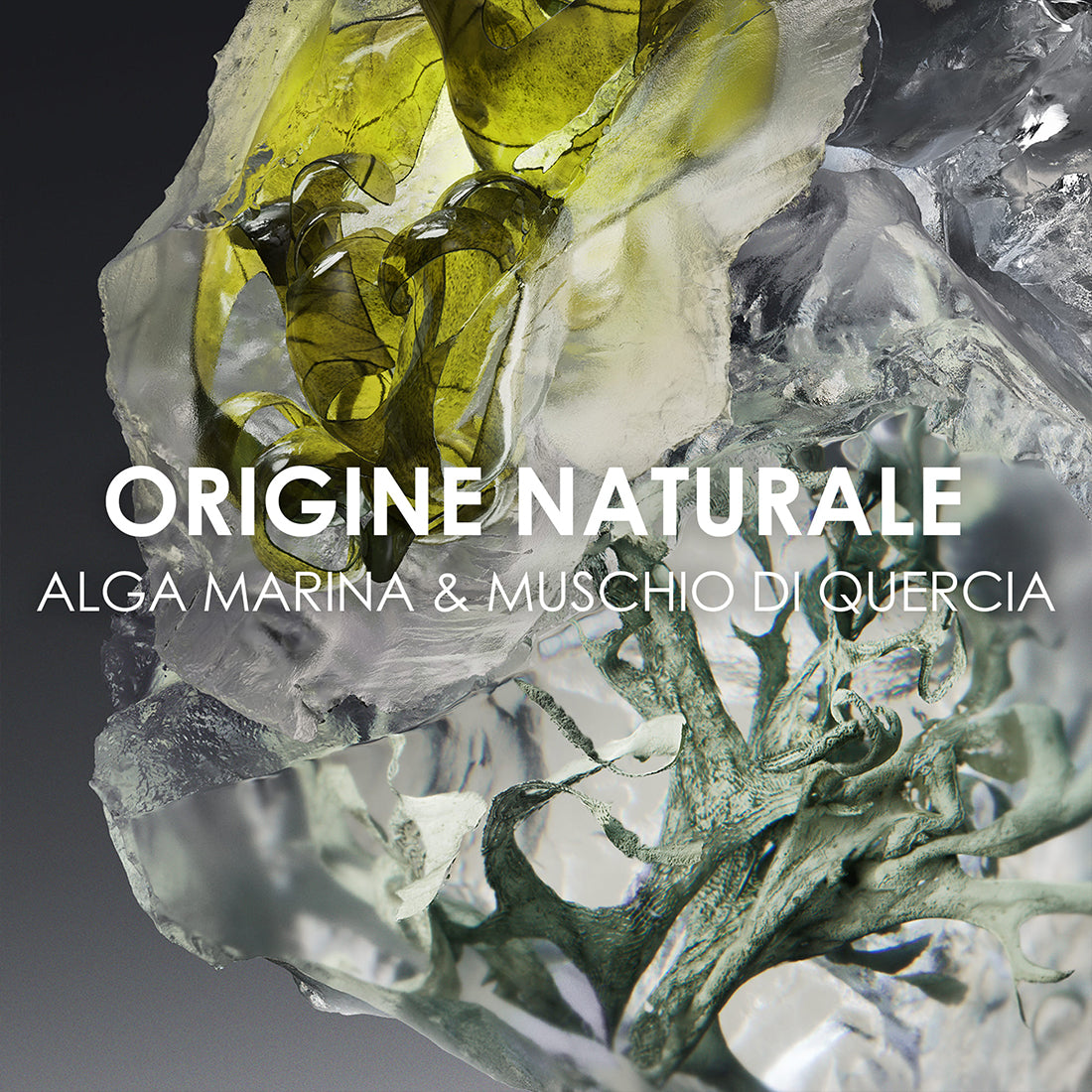 Le Sel D'Issey Eau De Toilette 100 ML_MIY545101_Issey Miyake-4