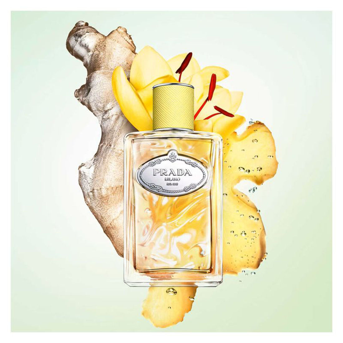 Les Infusions De Gingembre Eau De Parfum 100 ML_PRA442700_Prada-3