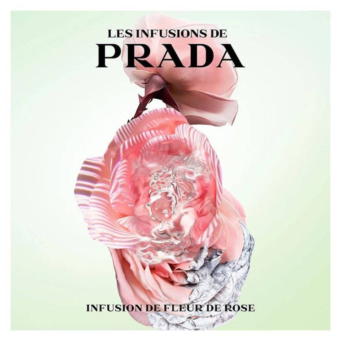 Les Infusions De Rose Eau De Parfum 100 ML_PRA65110899_Prada-3