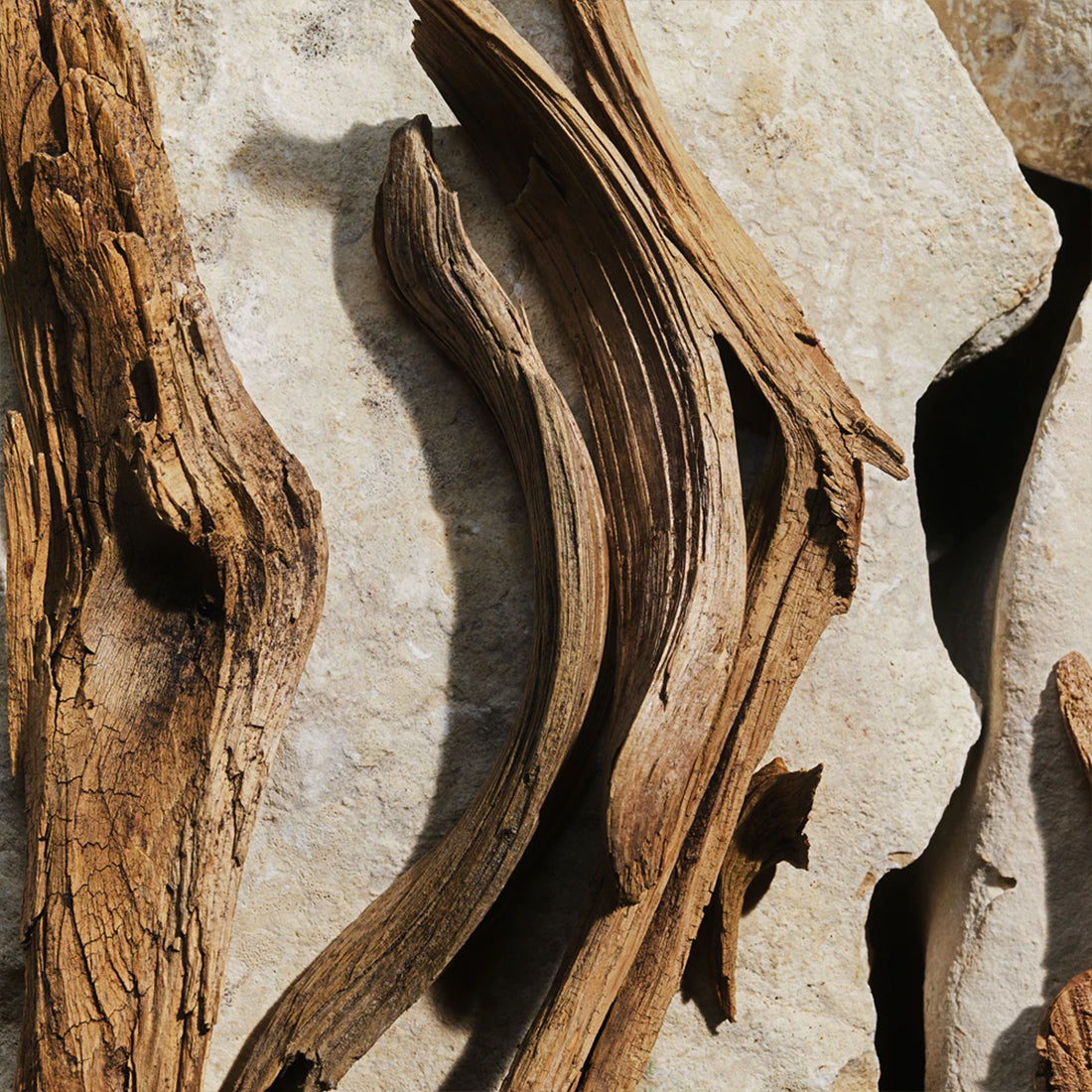 Light Blue Eau De Toilette 30 ml_DOLP1LB1T00_Dolce&Gabbana-6