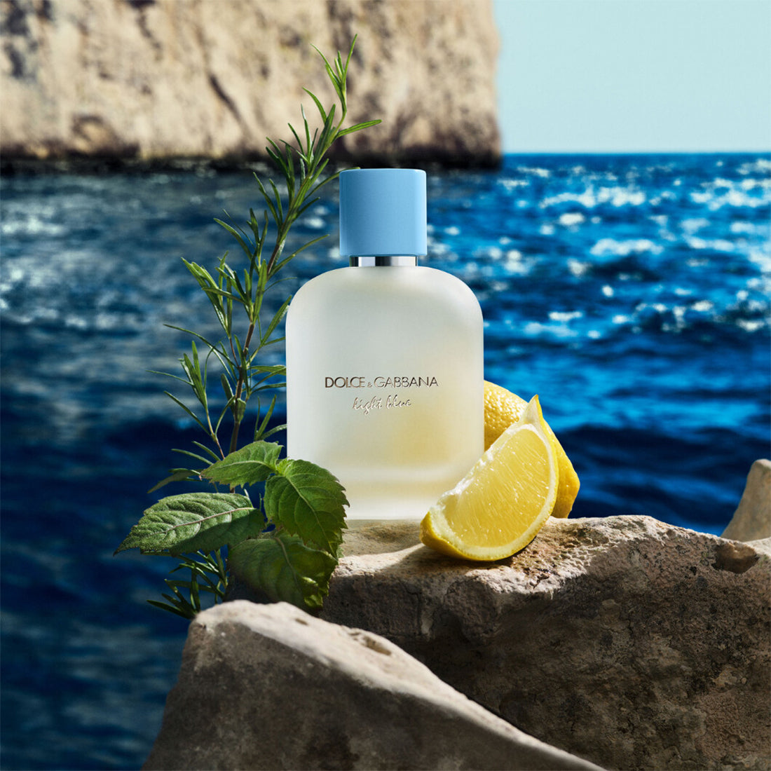 Light Blue Pour Homme EauDe Toilette 50 ml_DOLP1LB1L00_Dolce&Gabbana-3