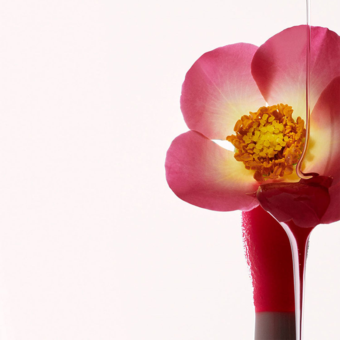 Lip Comfort Oil 27 Fleeting Dew_CLA80117251_Clarins-6