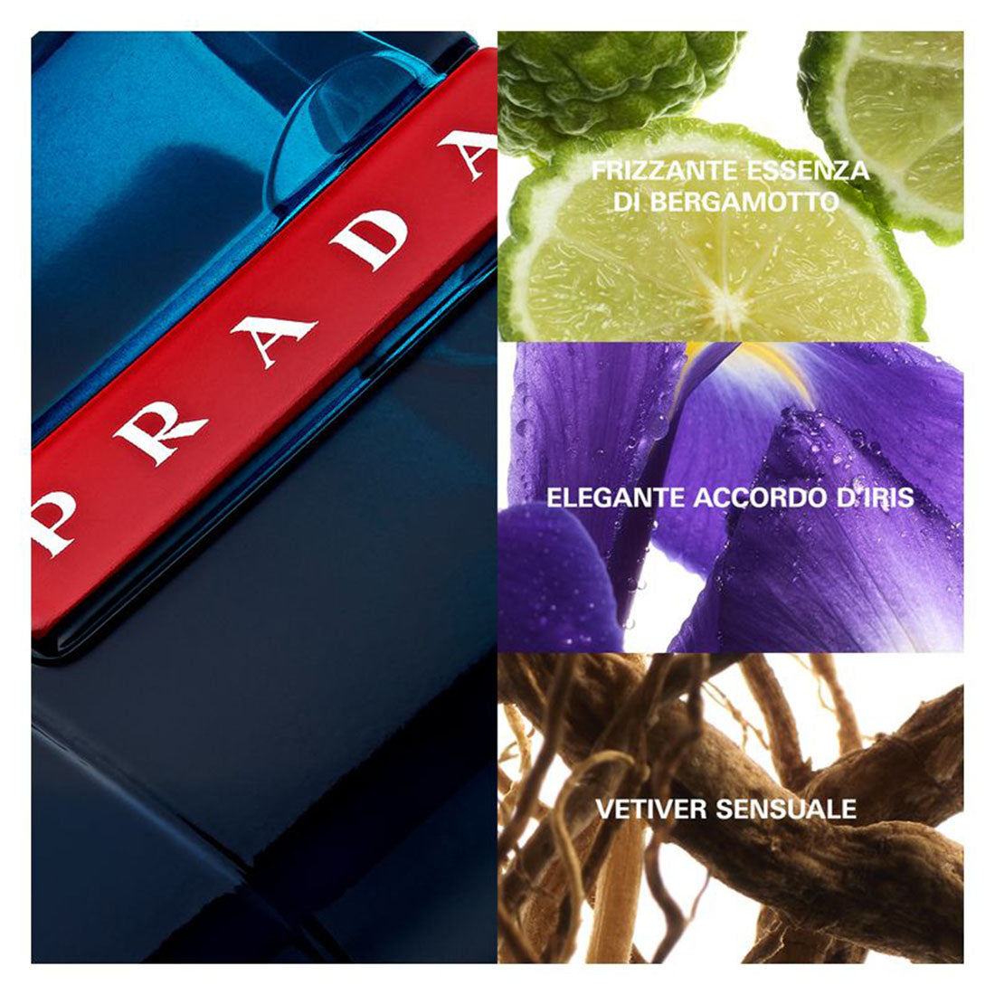 Luna Rossa Ocean Eau De Parfum 150 ML_PRA34900_Prada-3