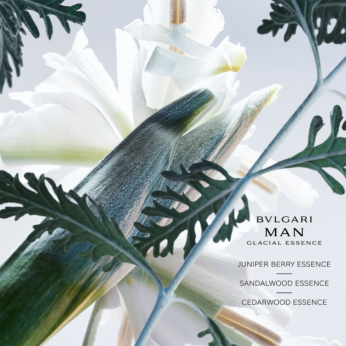 Man Glacial Essence Eau De Parfum 100 ML_BUL41194_Bvlgari-2