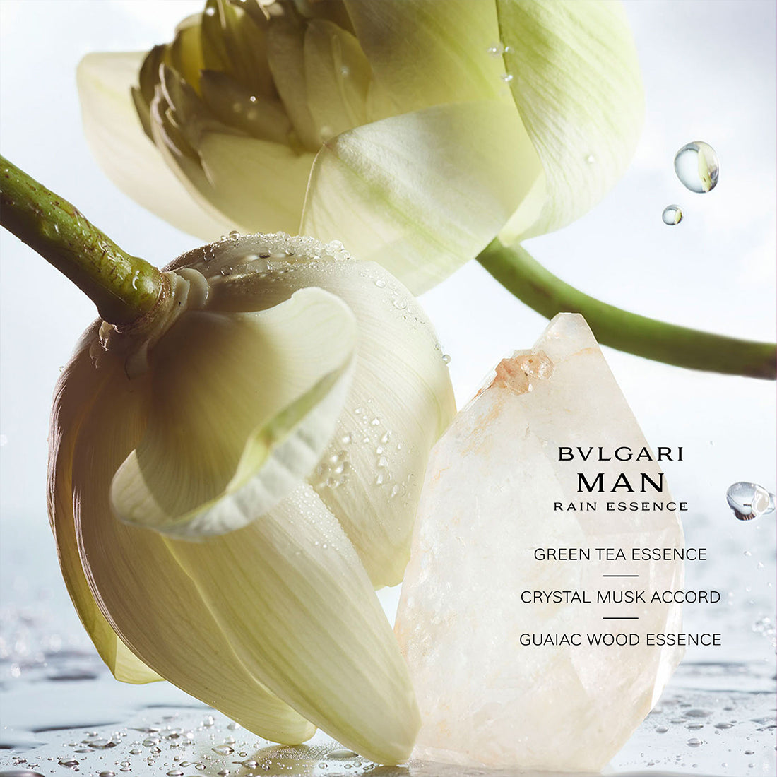 Man Rain Essence Eau De Parfum 100 ML_BUL41946_Bvlgari-3