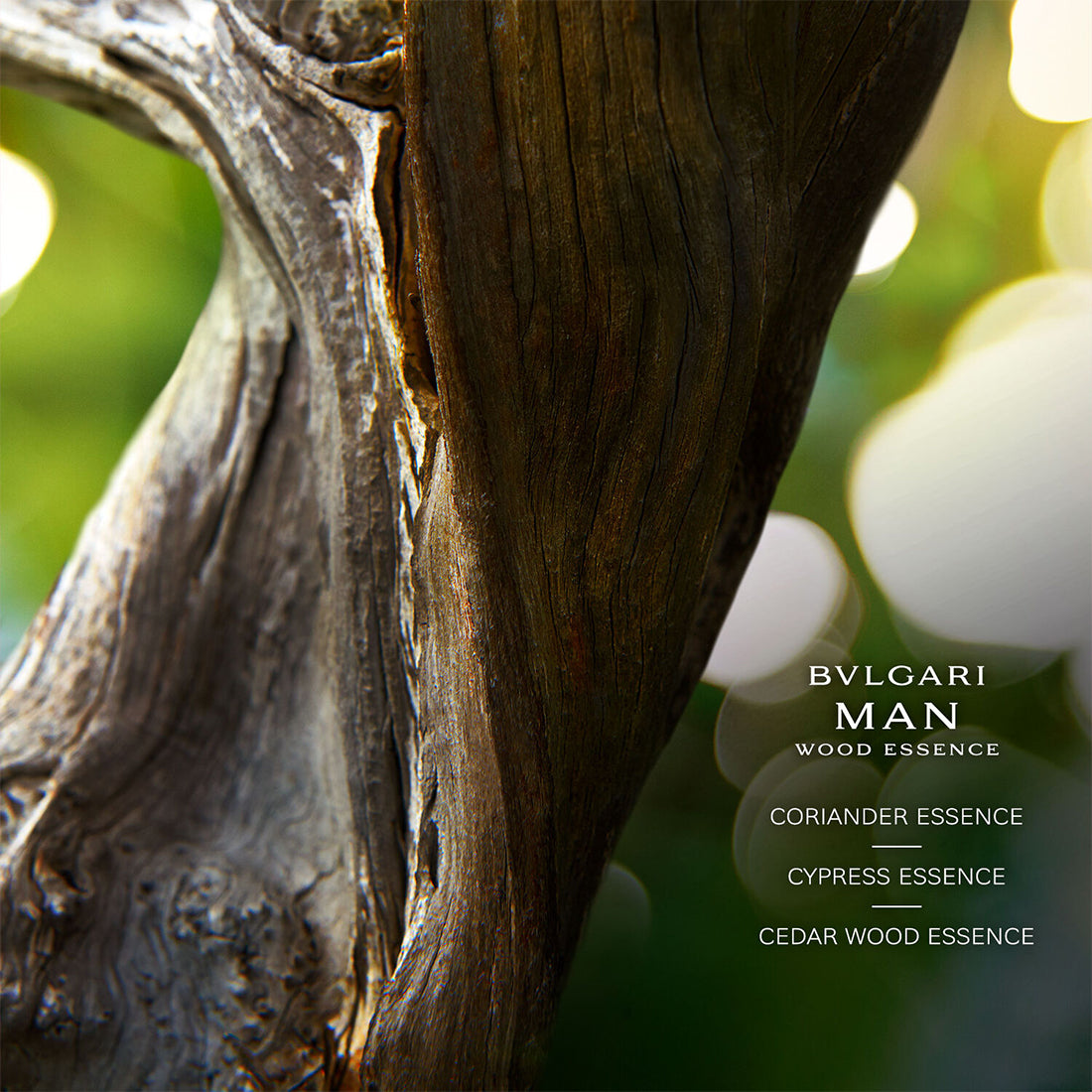 Man Wood Essence Eau De Parfum 60 ML_BUL46101_Bvlgari-3