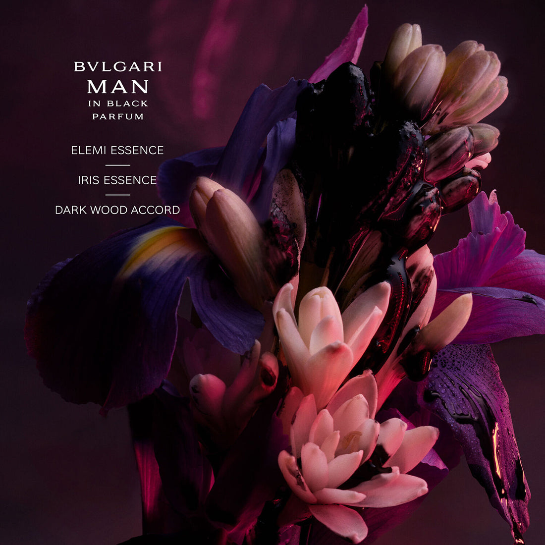 Man in Black Parfum 100 ML_BUL42153_Bvlgari-4