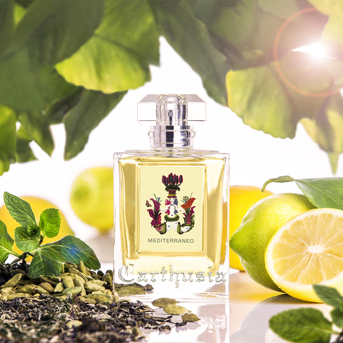 Mediterraneo Eau De Parfum 100 ML_CAR63064_Carthusia-3