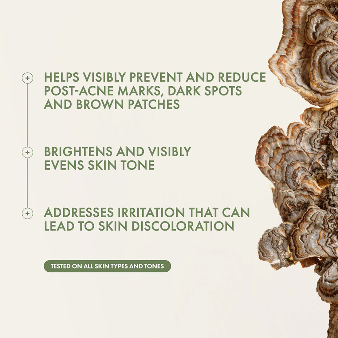 Mega Mushroom Dark Spot Corrector Serum Siero Viso Antimacchie 50 ML_ORIOXLY01_ORIGINS-4