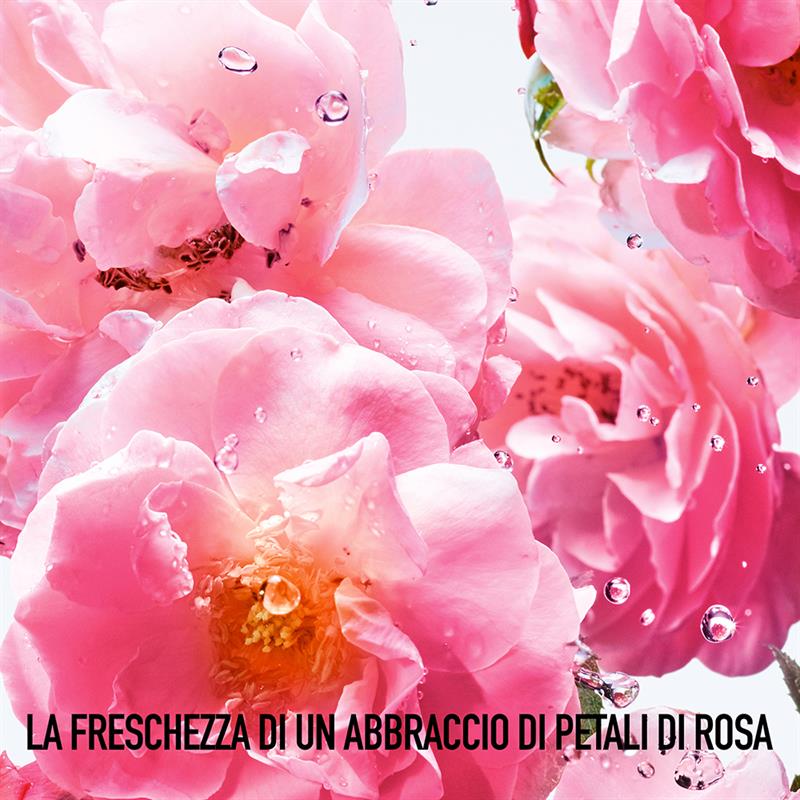 Miss Dior Rose N'roses Eau De Toilette 50 ML_CD 099600515_Dior-3