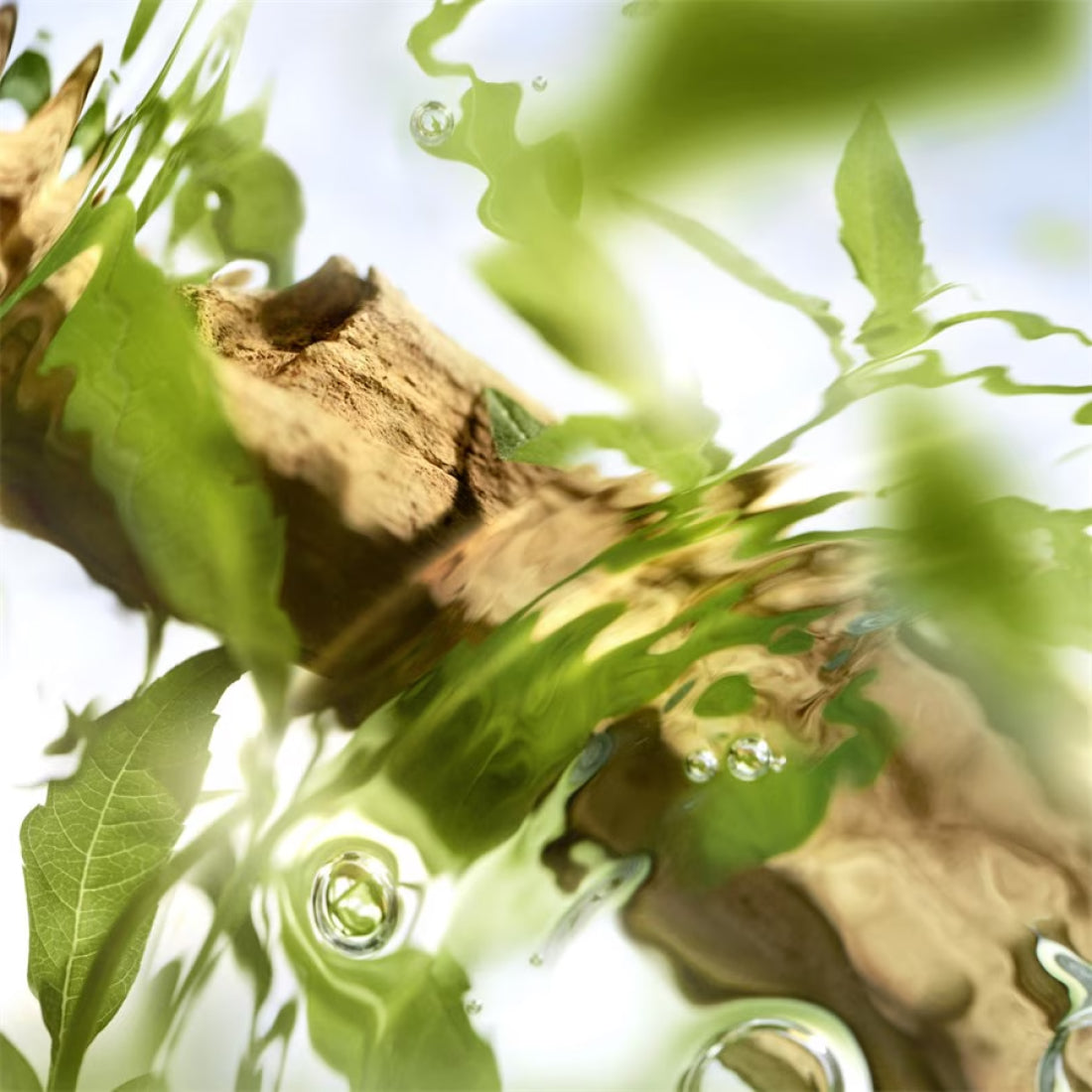 O De Lancome Off Now Eau De Toilette 100 ml_LCOLLF473300_Lancome-5