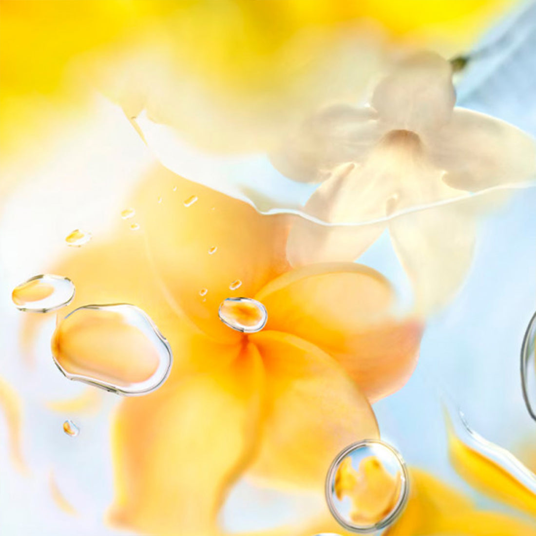 O De Lancome Zenith Eau De Toilette 100 ml_LCOLLF473100_Lancome-6