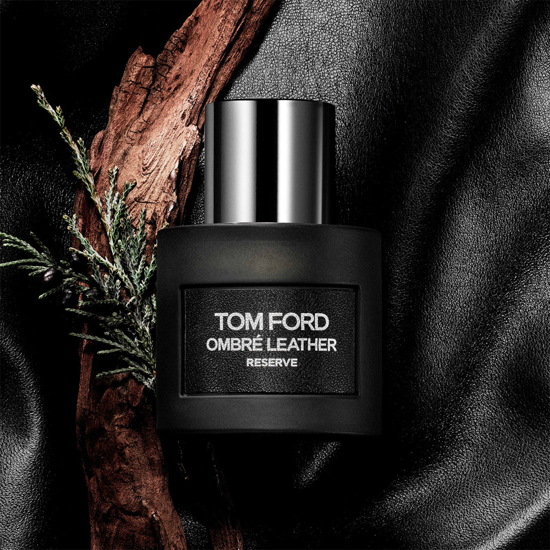 Ombré Leather Reserve_ESTT4Q301_Tom Ford-2