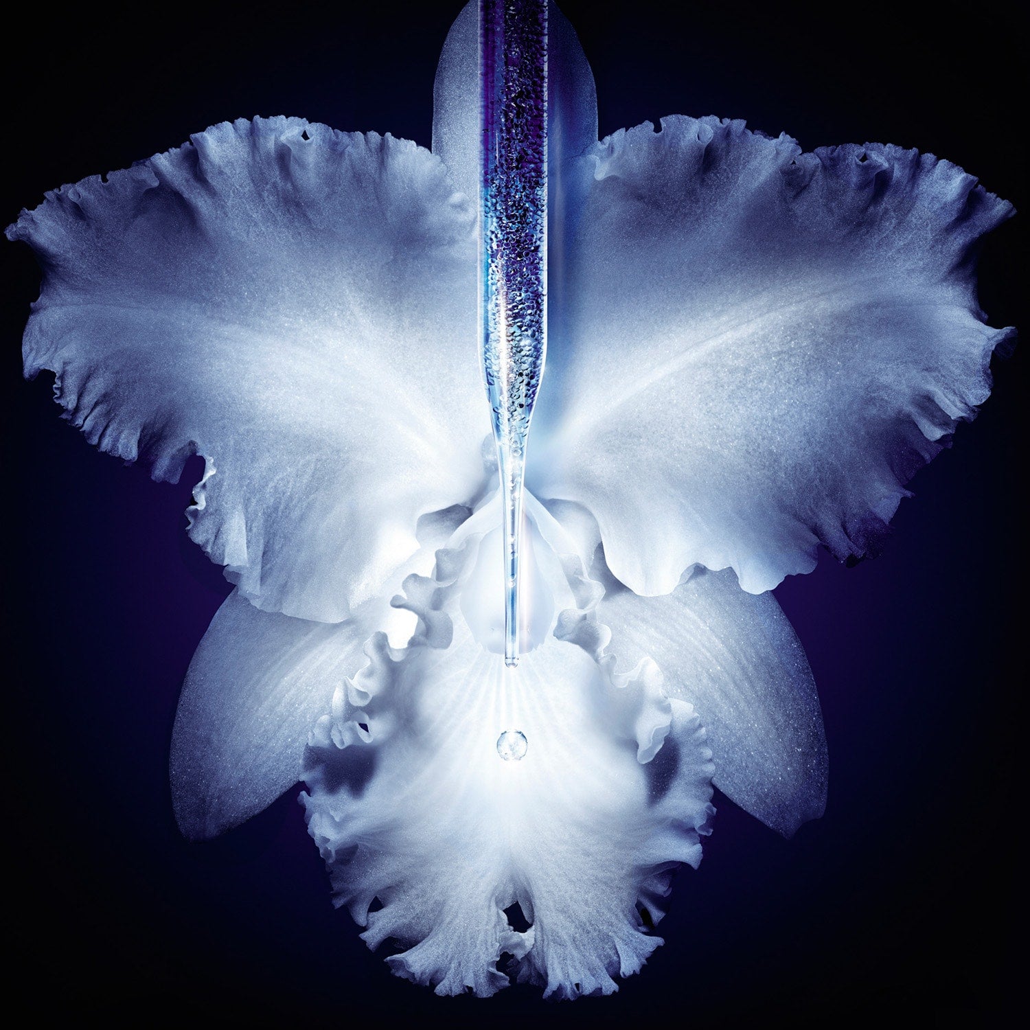 Orchidée Impériale Le Concentré Micro-Lift Siero a Tripla Azione Rigenerante 50 ML_GUE061728_Guerlain-5