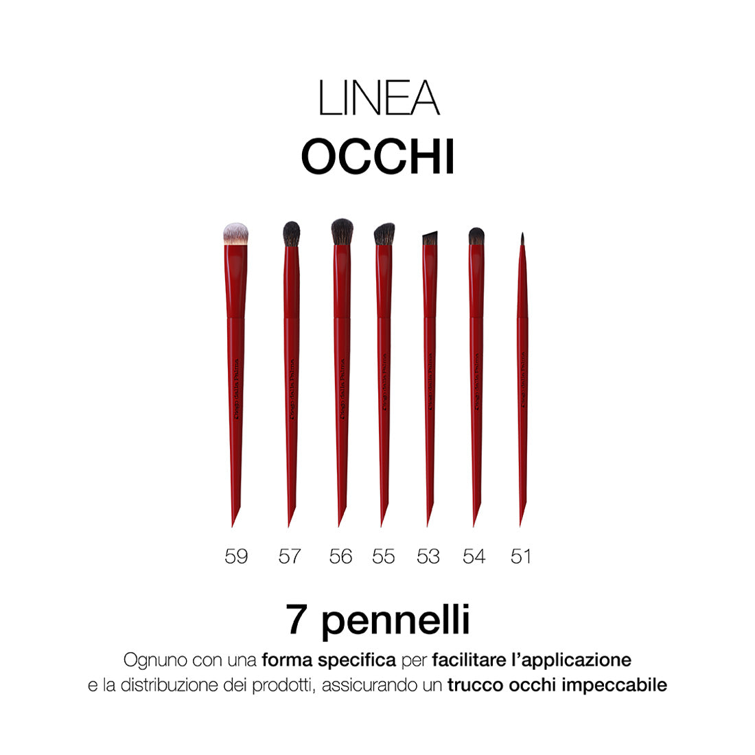 Pennello Occhi Obliquo Per Ombreggiature 55_DDPDF115055_Diego Dalla Palma-3