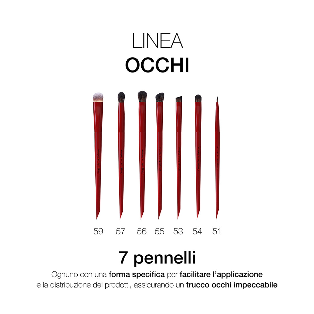 Pennello Occhi Piatto 54_DDPDF115054_Diego Dalla Palma-3