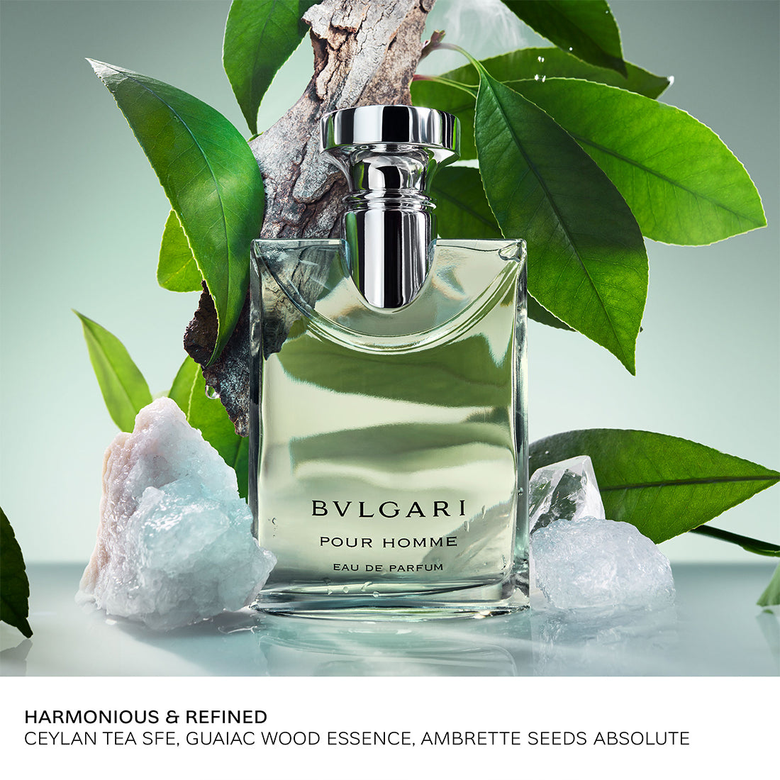 Pour Homme Eau De Parfum 50 ML_BUL42132_Bvlgari-2