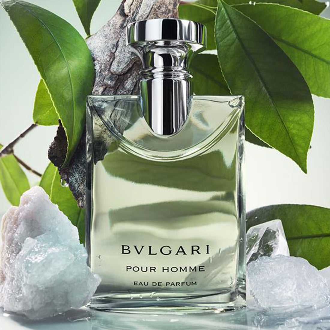Pour Homme Eau De Parfum 50 ML_BUL42132_Bvlgari-3