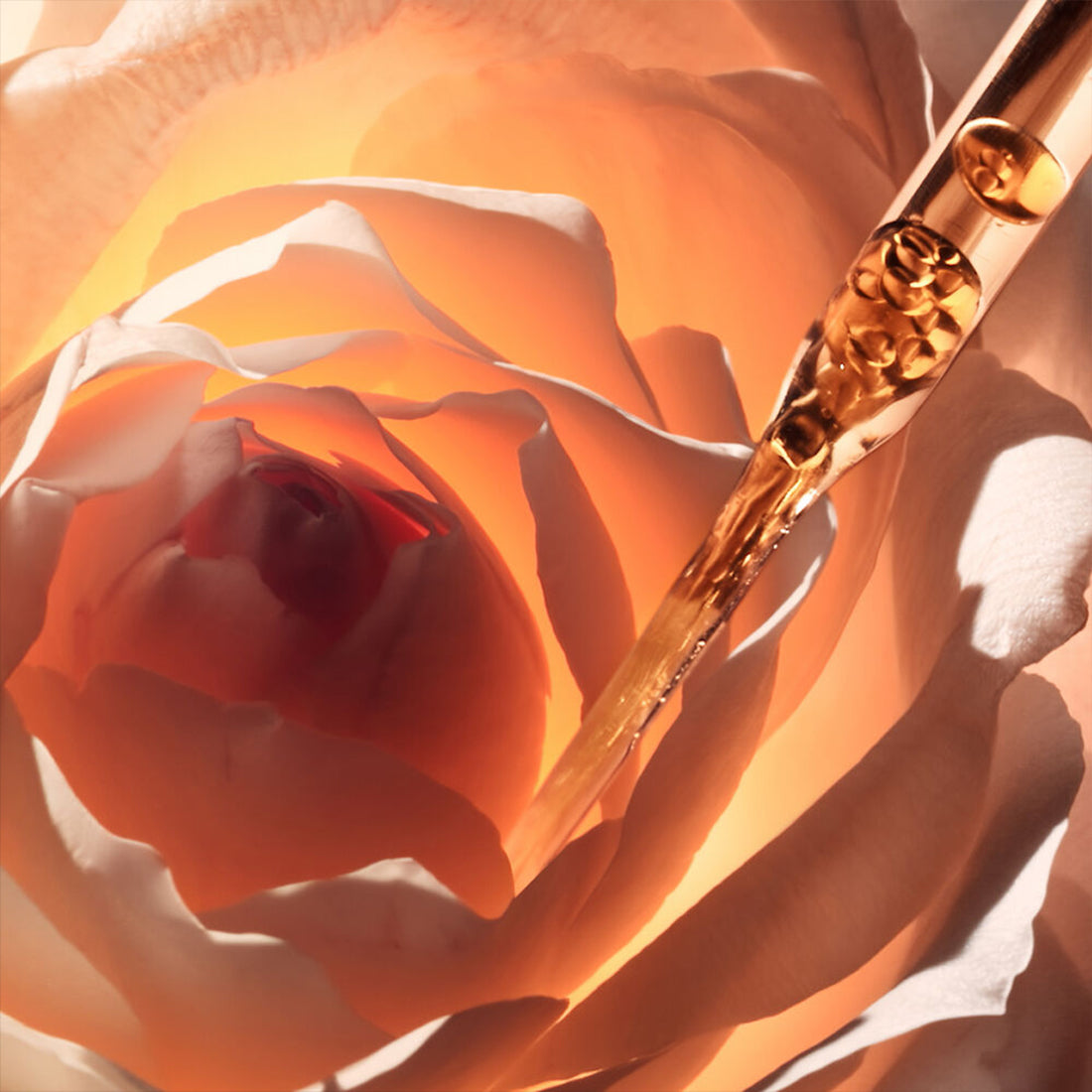 Prestige La Micro-Huile de Rose Activated Serum Siero micronutriente 50 ML_CDC099700025_Dior-6